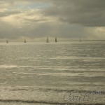 Quietly sailing
